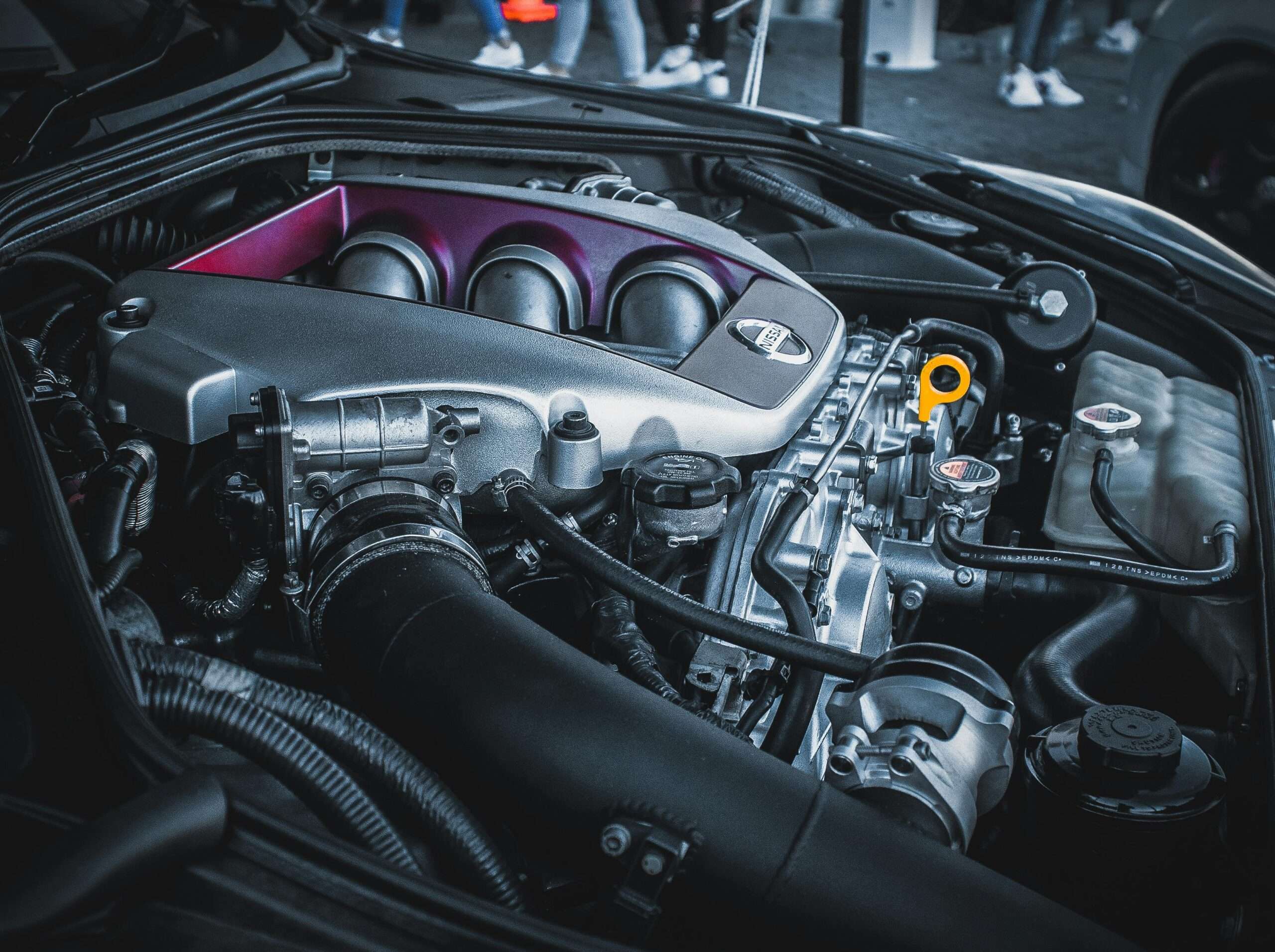 pexels-jay-jay-redelinghuys-61078147-8237050